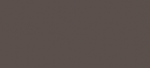 P103 Вижен / Mink