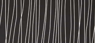 P201 Черная линия/Stripped Black